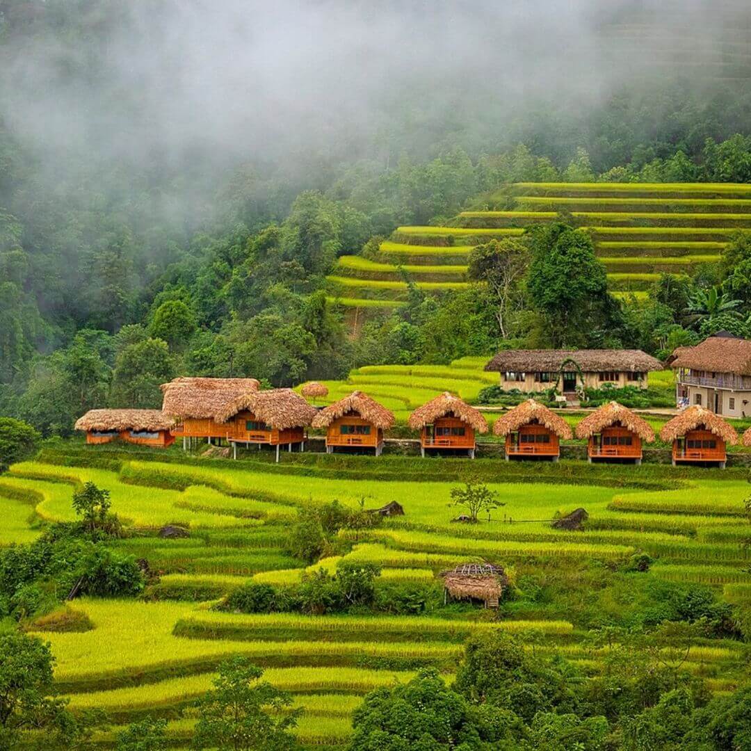 Burning Season in Ha Giang loop