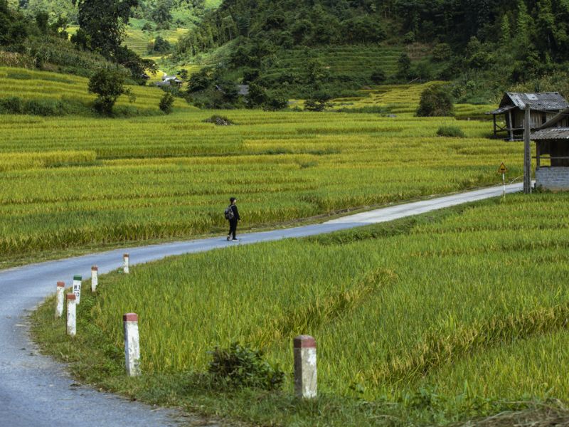 Sapa Trekking Tour with Local Guide