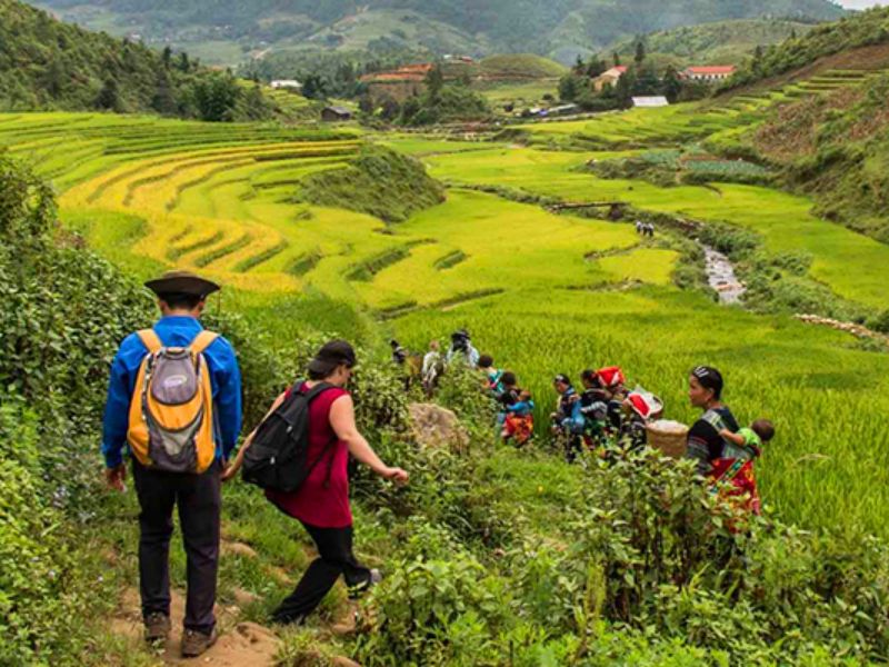 Trekking in Sapa Through Muong Hoa Valley