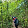 fansipan hiking 1 day tour