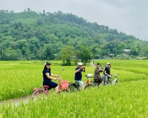 Free cycling in ninh binh