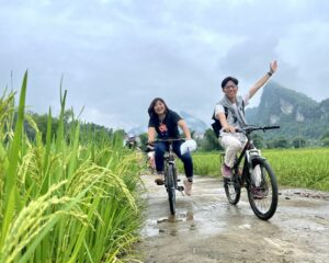 ninh binh harvest season