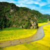 Tam coc rice fields price