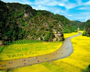 Tam coc rice fields price