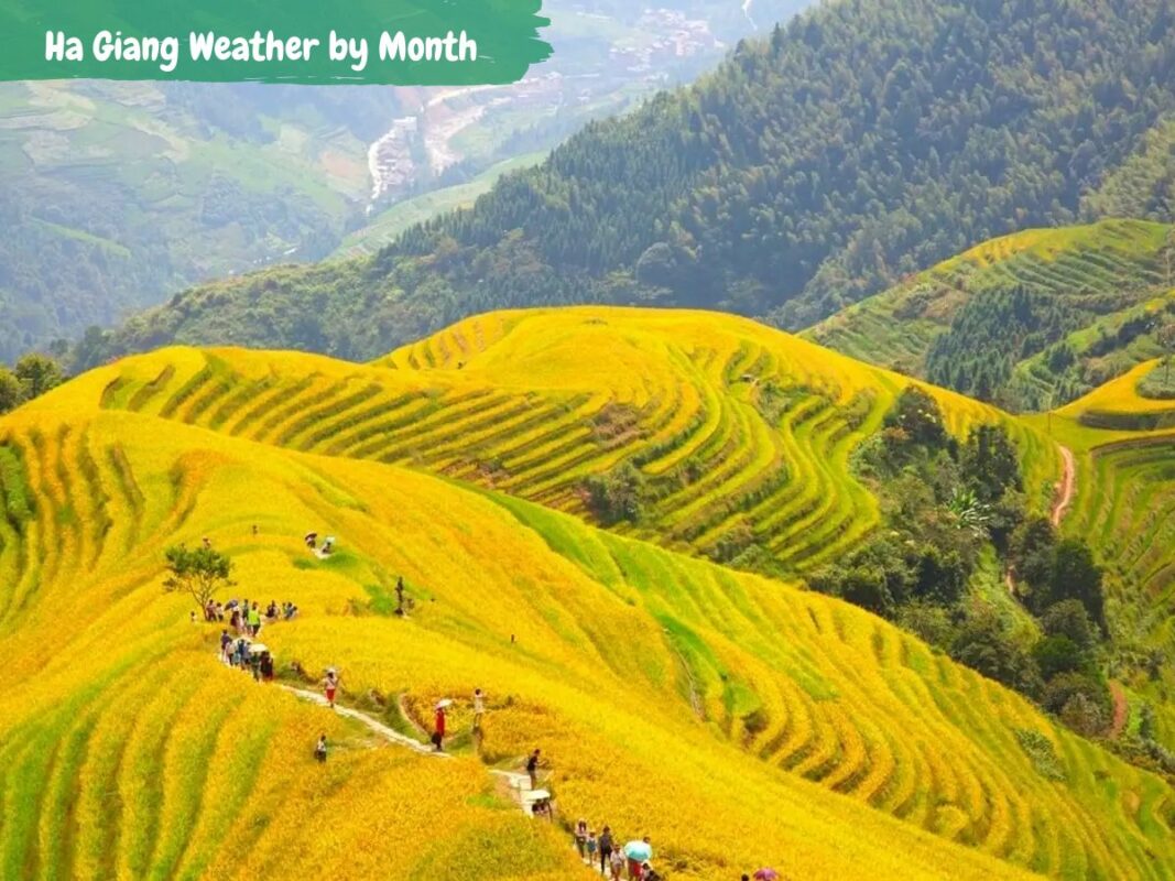 loop ha giang weather by month