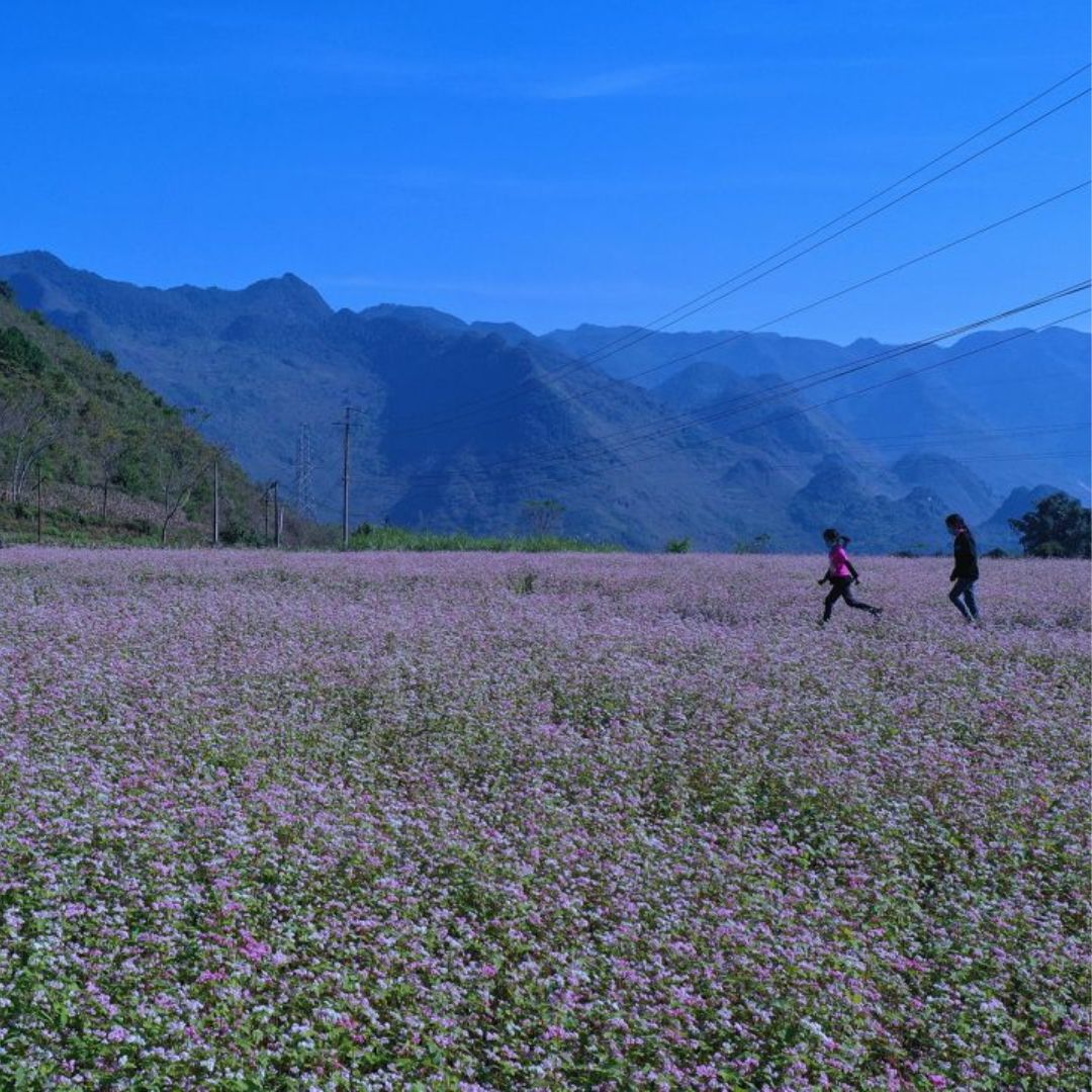 ha giang weather by month a year