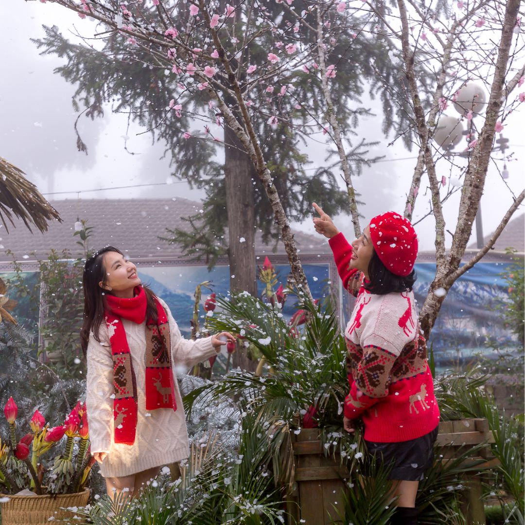 snow in Sapa Vietnam 2024