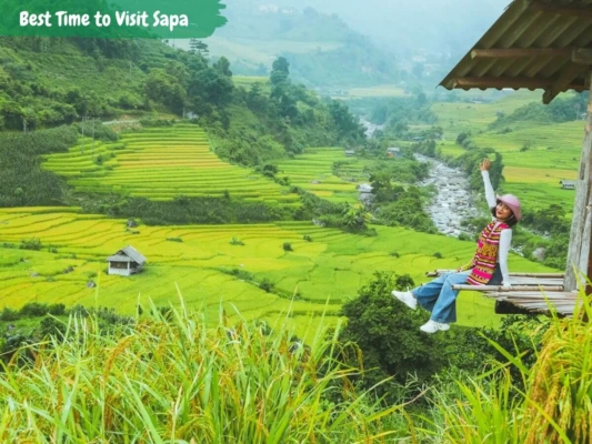 Best Time to Visit Sapa for Stunning Views