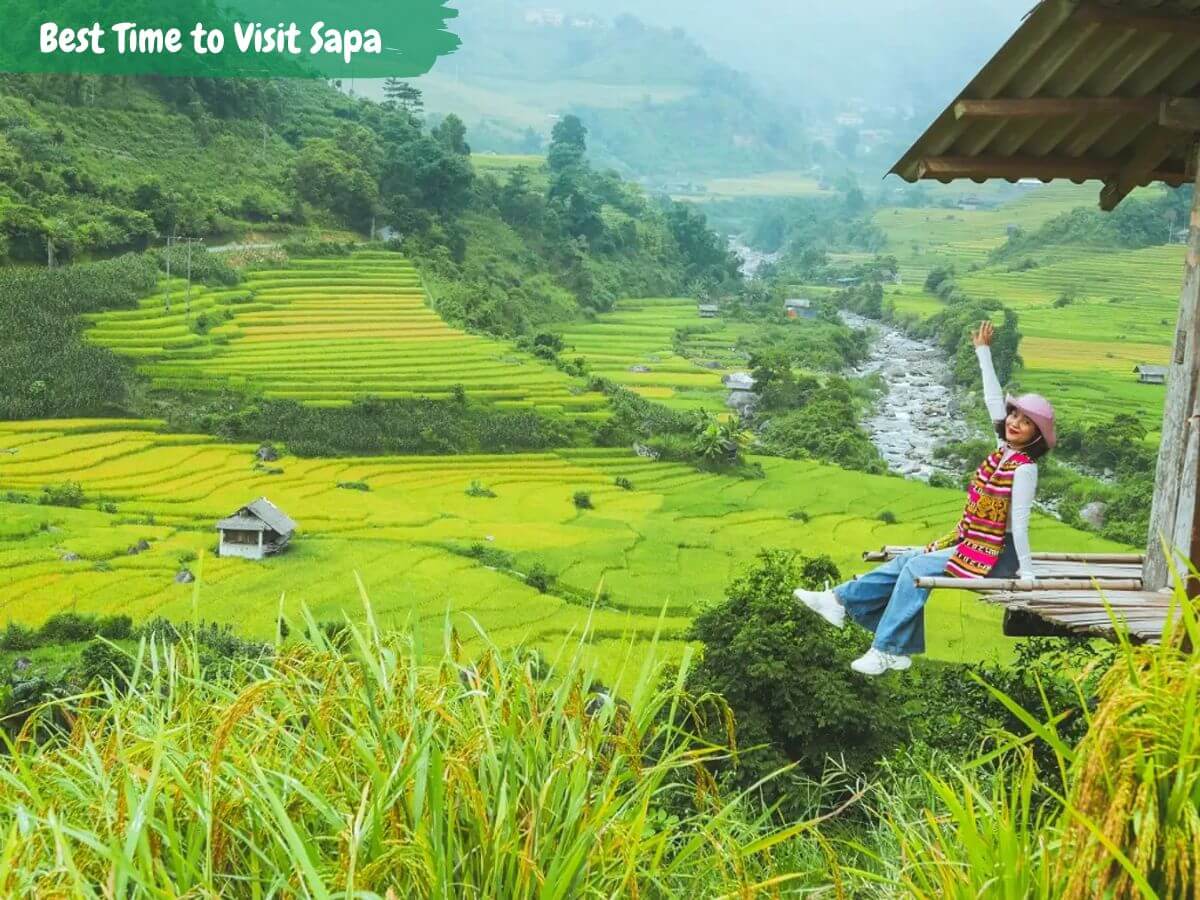 Best Time to Visit Sapa for Stunning Views