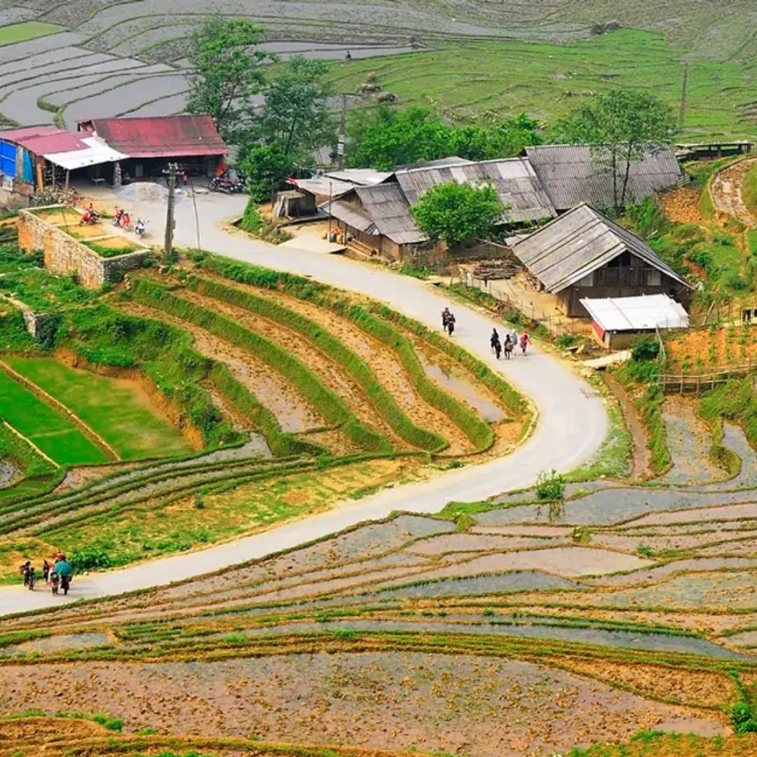 sapa best view thí year