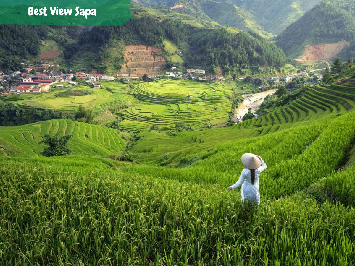 best view Sapa